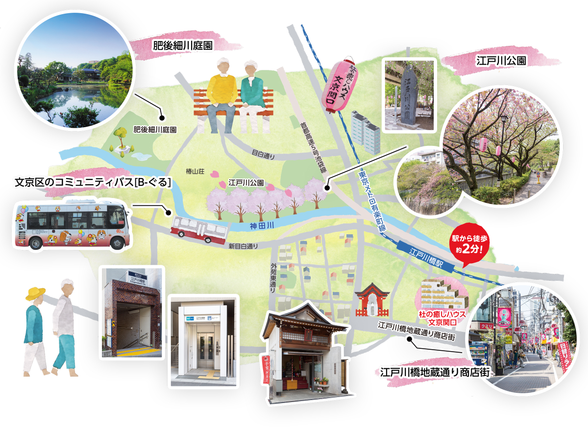文京関口周辺のスポット紹介マップ